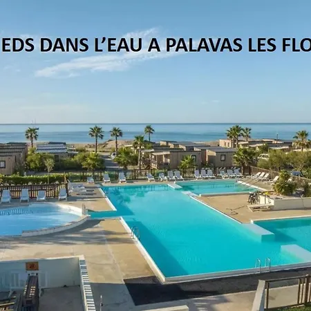 Les Pieds Dans L'eau A ! A 50 M ! Mhome 6 Pers Climatise T Confort 4 Etoiles